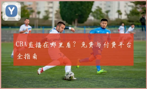 CBA直播在哪里看？免费与付费平台全指南