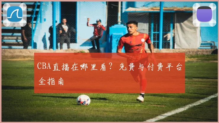 CBA直播在哪里看？免费与付费平台全指南